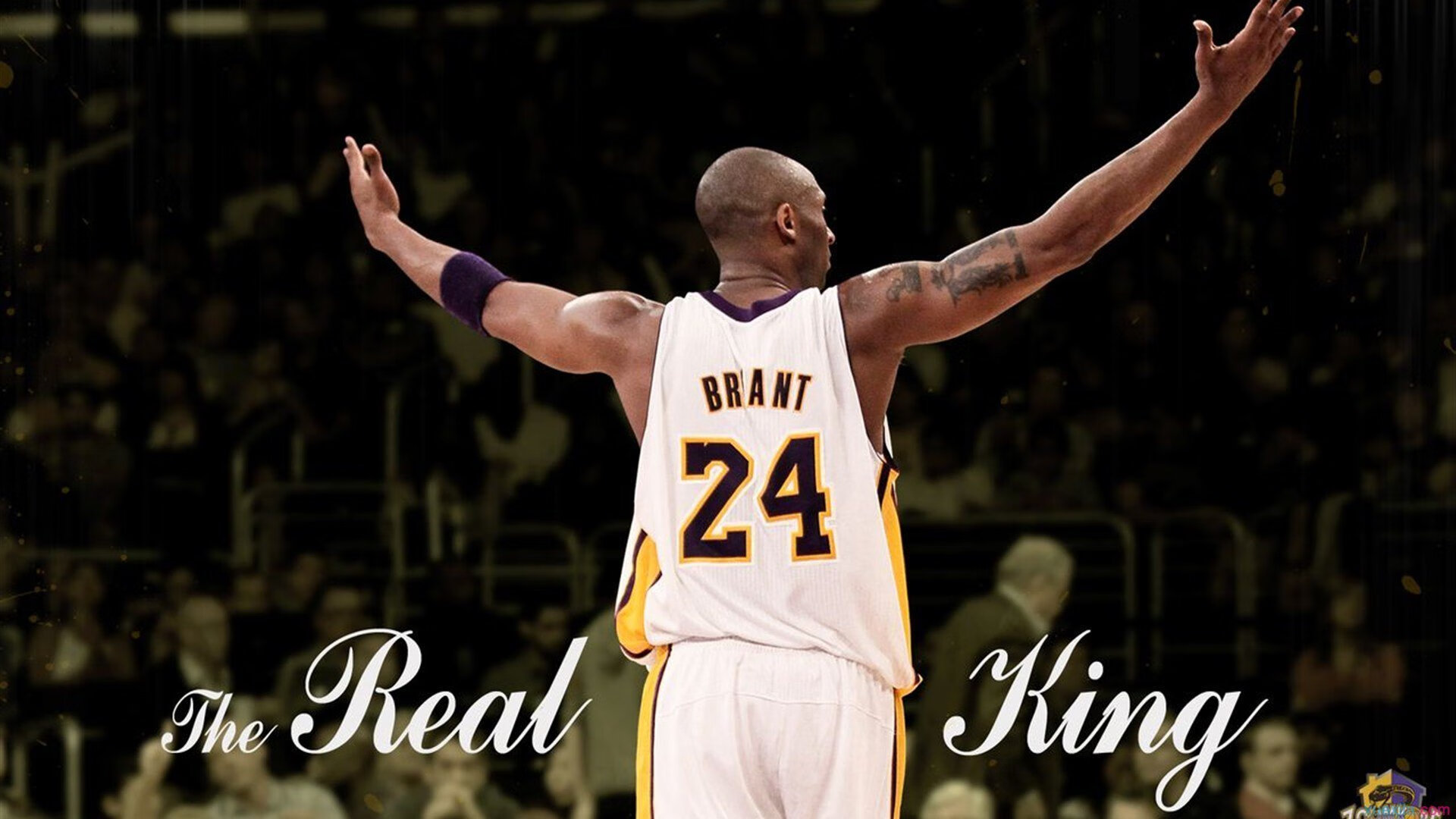 “帐篷区清晨拉伸公开课” 短短十五分钟已大汗淋漓